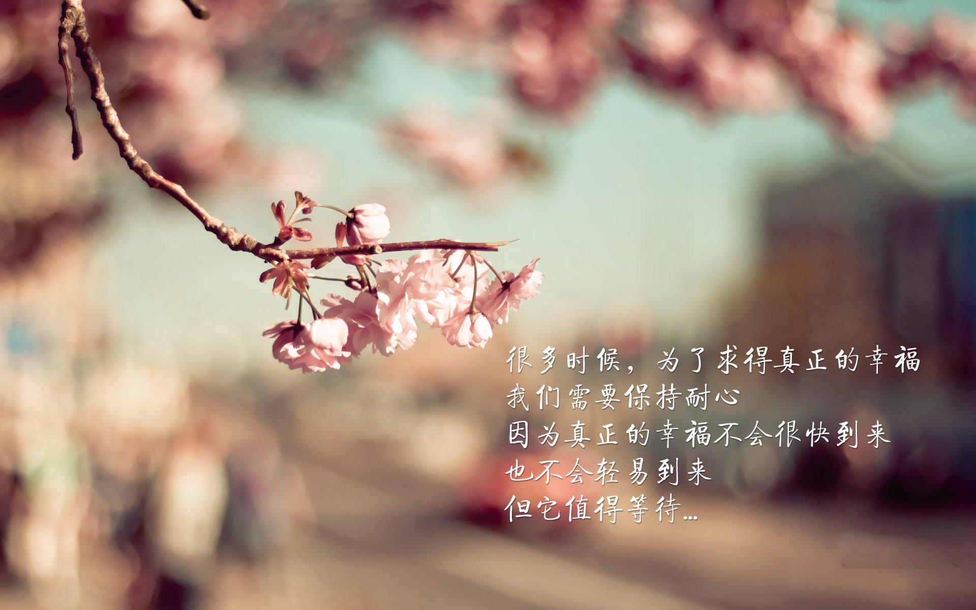 阿尔阿赫利新秀球员表现亮眼，阿尔阿赫利保利尼奥