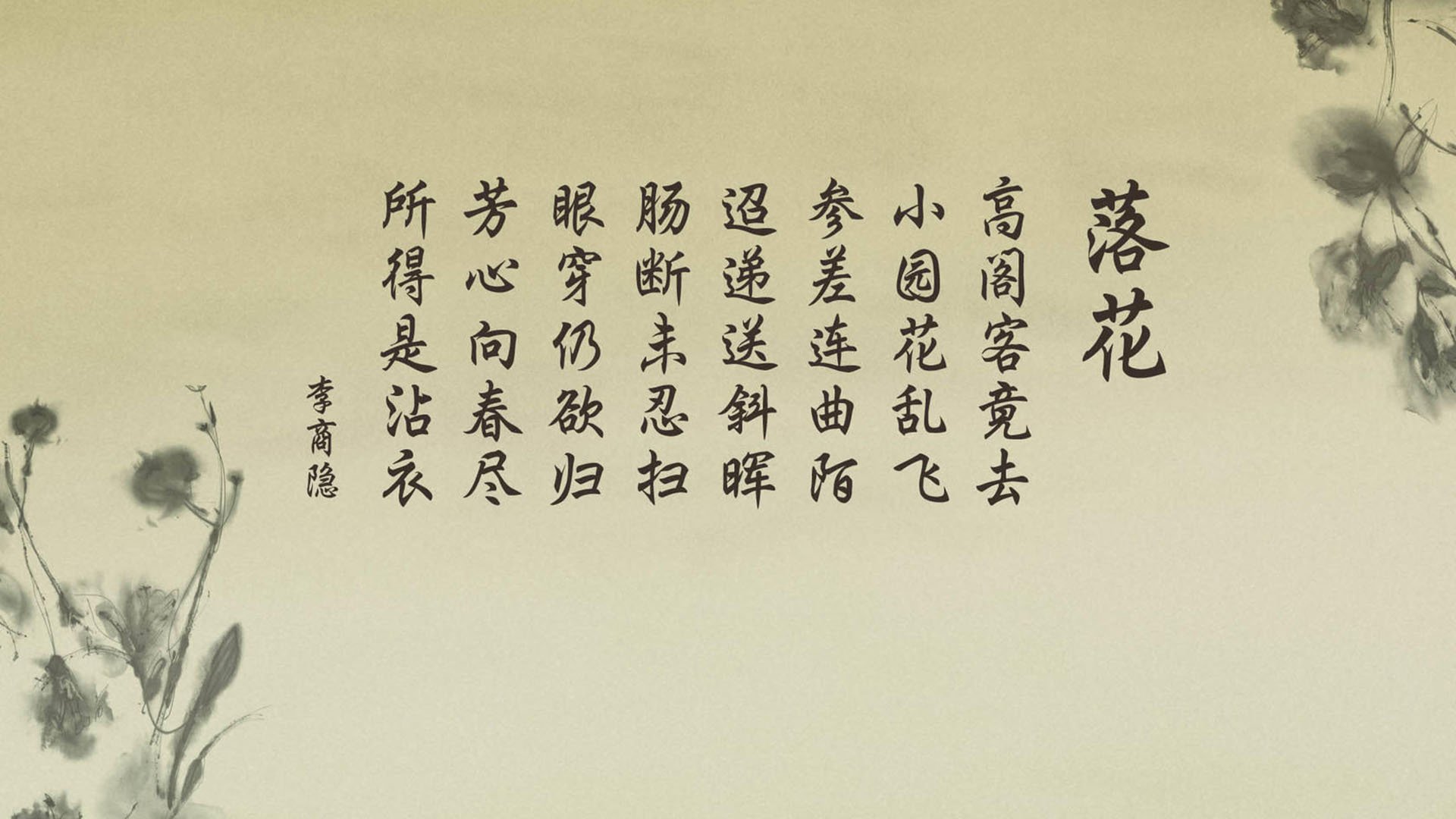 _魔术队创造多项纪录，赛季表现令人期待_，魔术队冠军