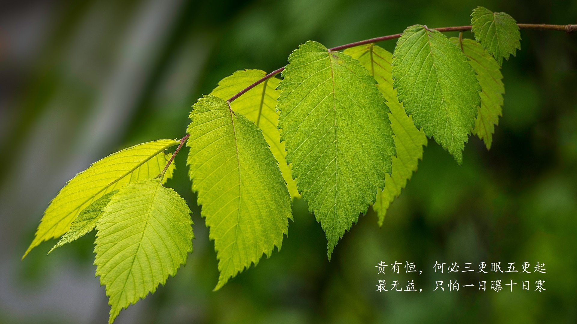 新兴市场：亚洲赛道成为焦点，亚洲新兴市场指数