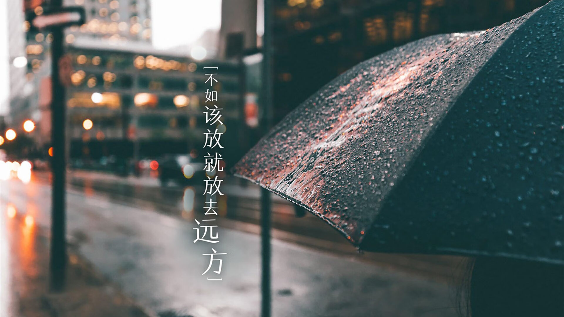 特色农场马术活动，传承传统骑乘文化，马场马术课程