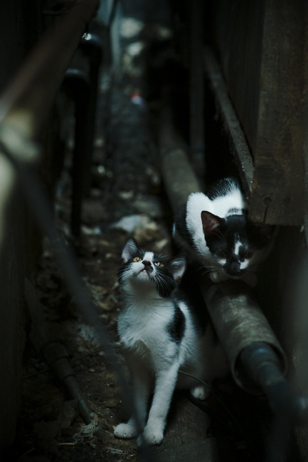 kaiyun开云·官方网站-高科技特制轮胎引领速度新纪元，科技的车轮