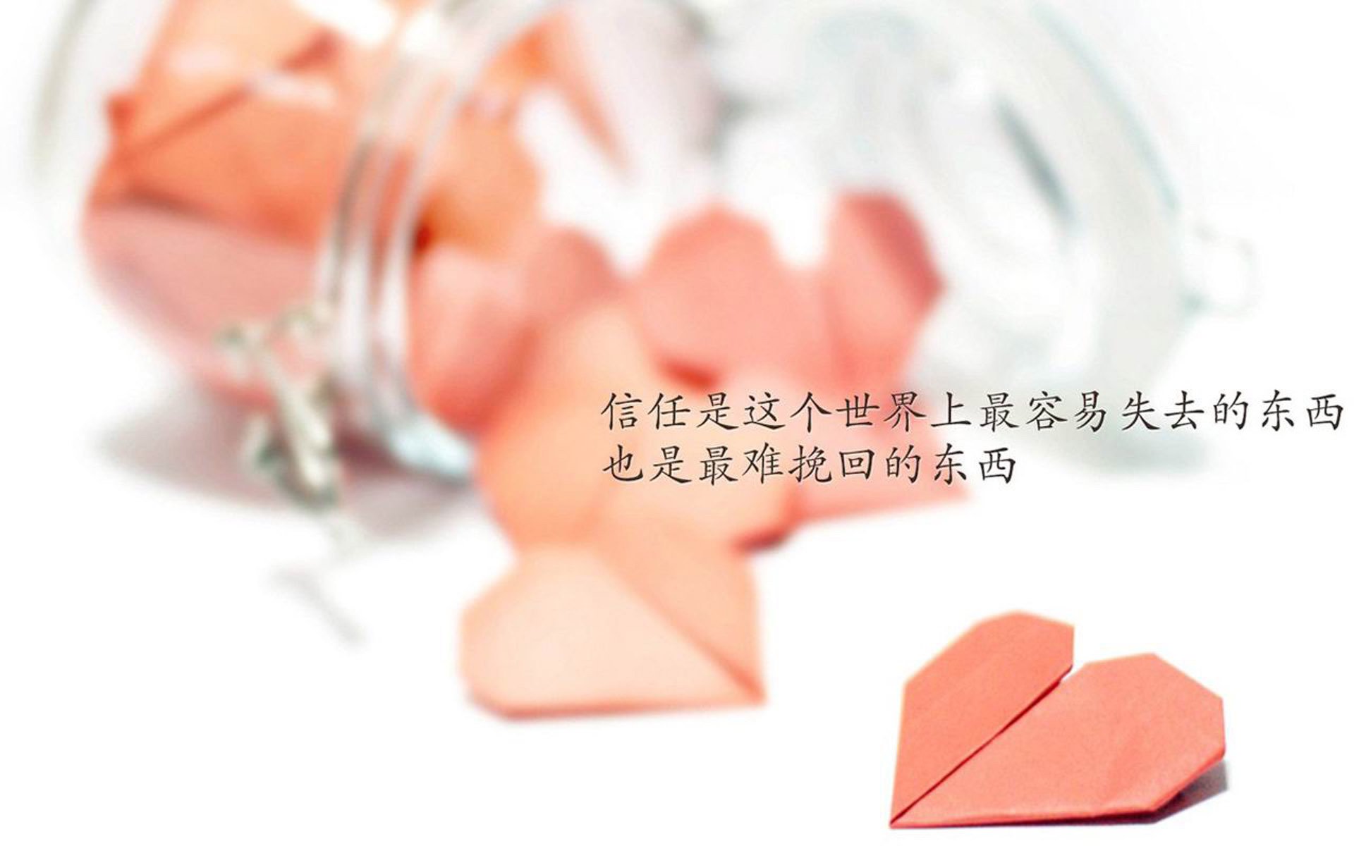 世界青少年击剑锦标赛中国队表现优异，世界青少年击剑锦标赛冠军