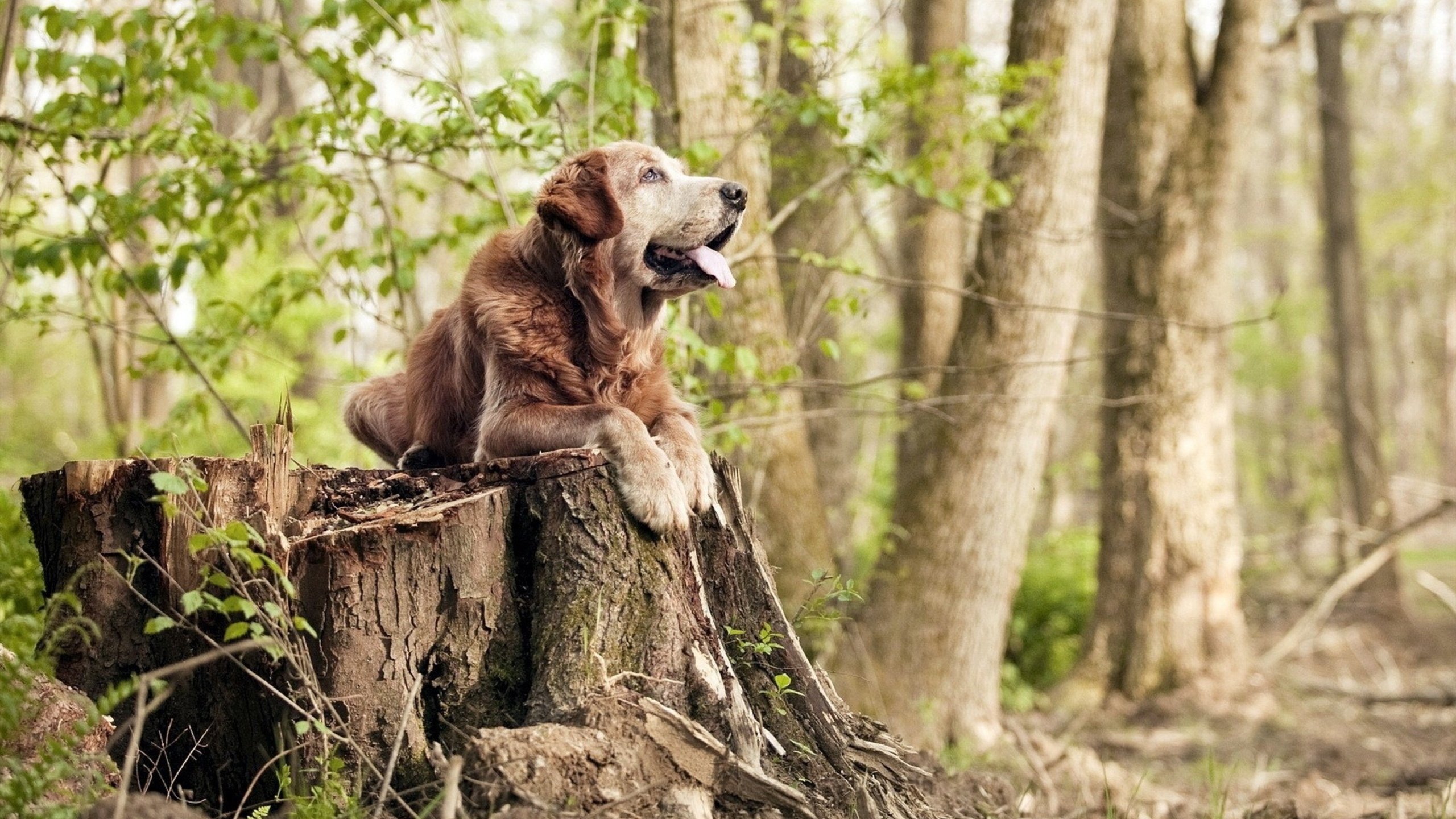 中超联赛中国青年队爆冷 球员调整需加强，中超为什么派青年队