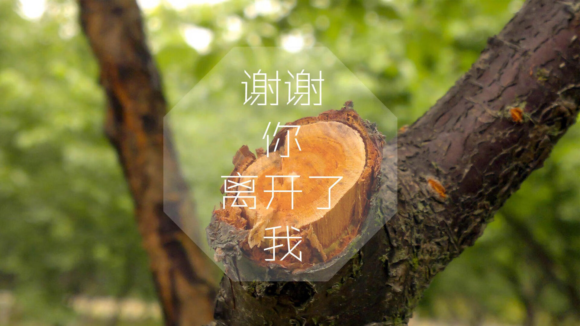 布克火力全开太阳防守效率提升，布克36分太阳险胜火箭