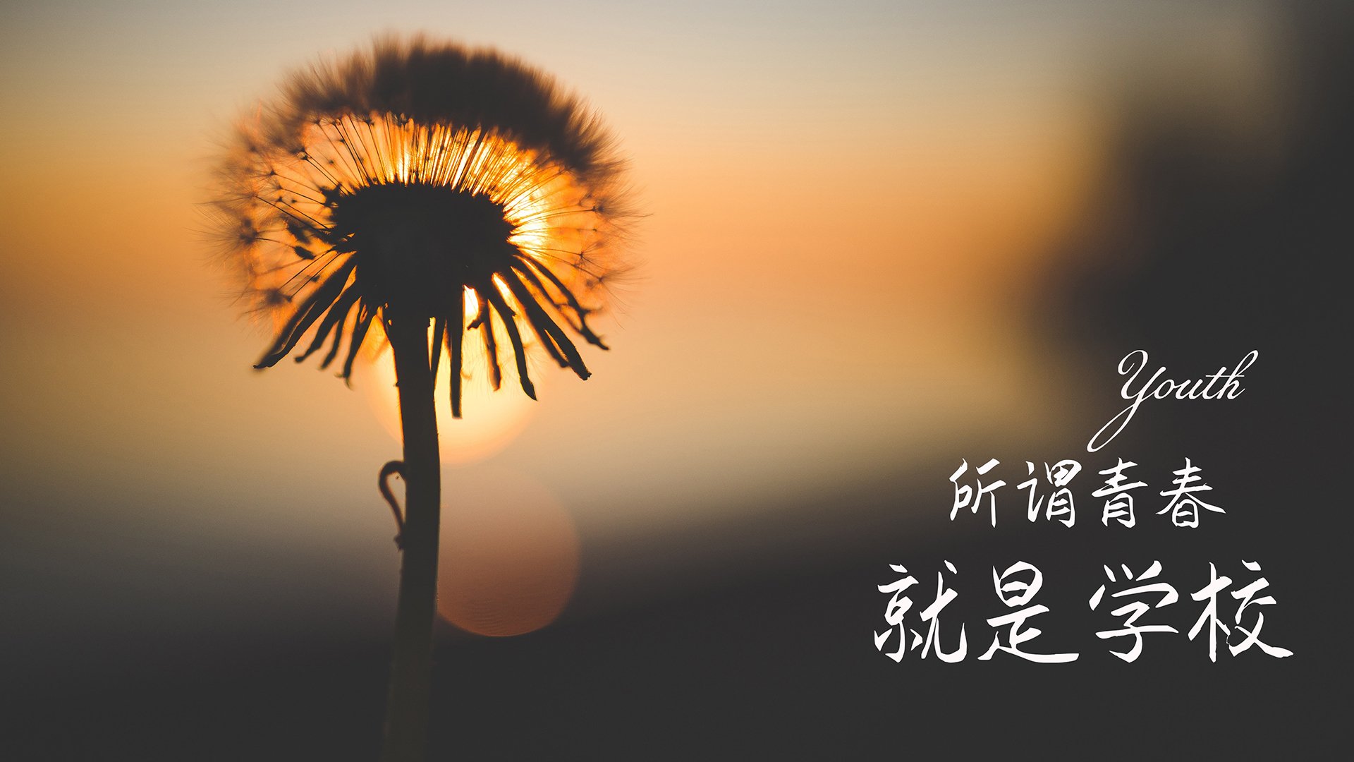 斯文施瓦茨决赛自信亮相，斯文百科