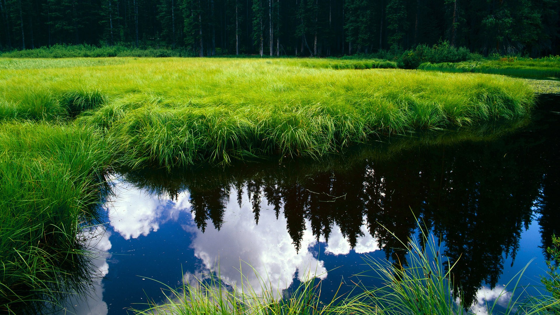 球员交流赛带动文化旅游，赛地经济见增长，球赛人员