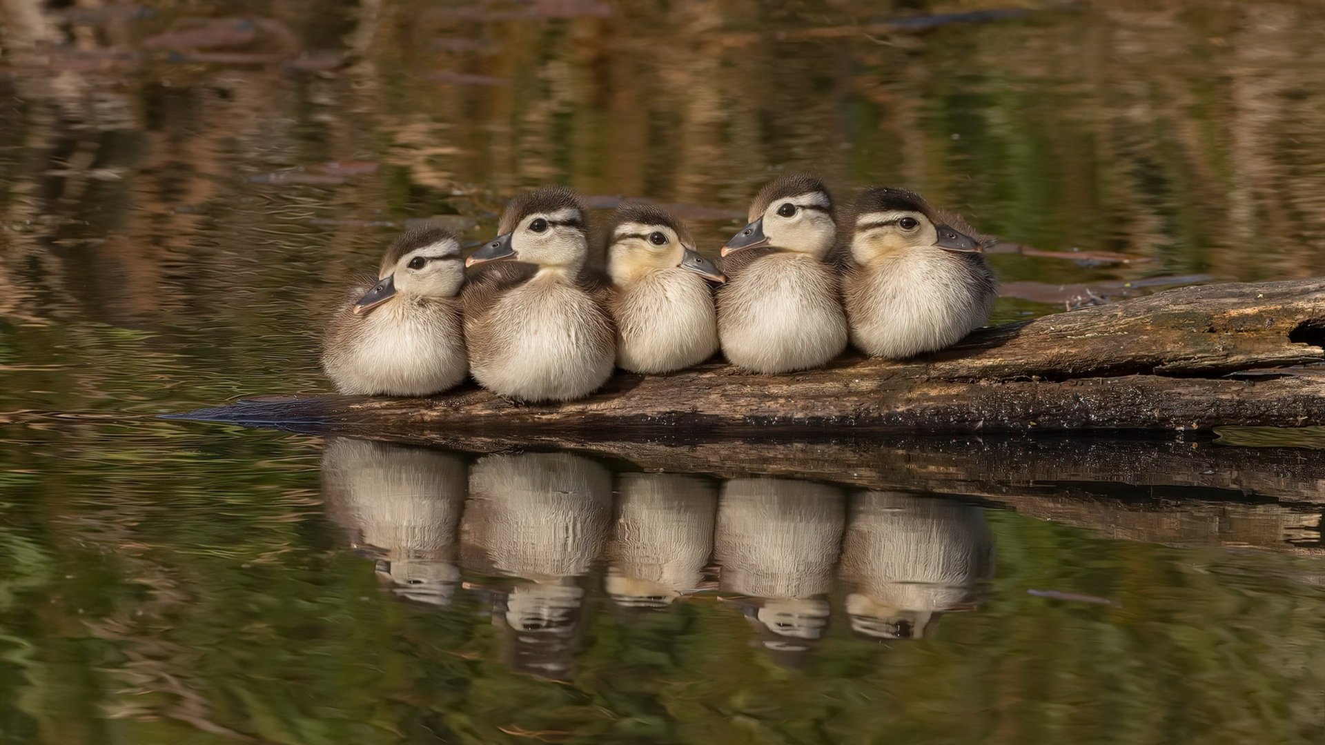 篮球俱乐部青训体系标准化建设推进中，青少年篮球俱乐部训练计划