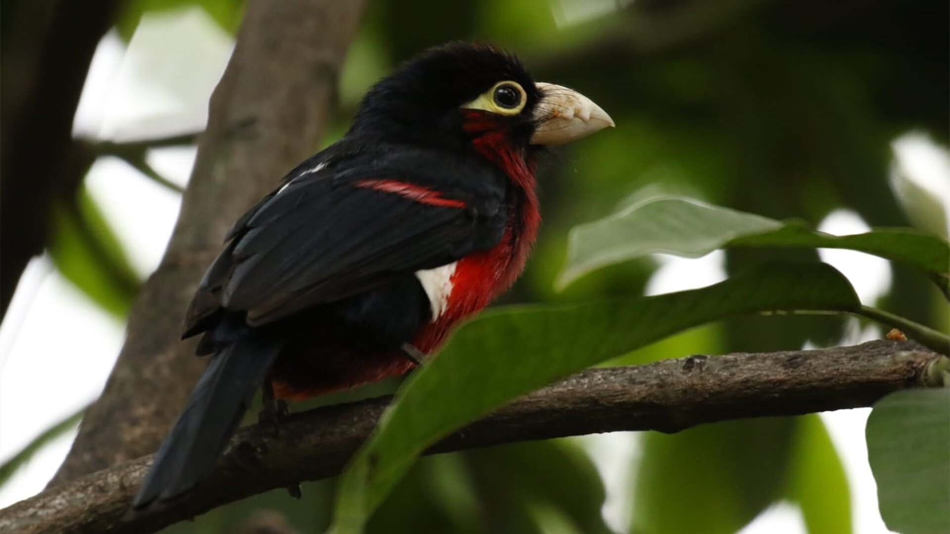 足球联赛新赛季赛程正式公布，足球联赛新赛季赛程正式公布了吗